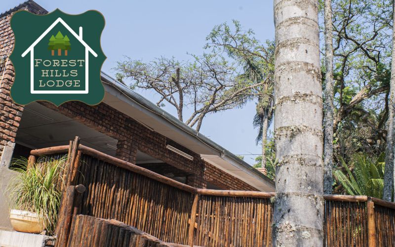 Escape to completely Forest Hills Lodge in Makhado’s Hidden Paradise